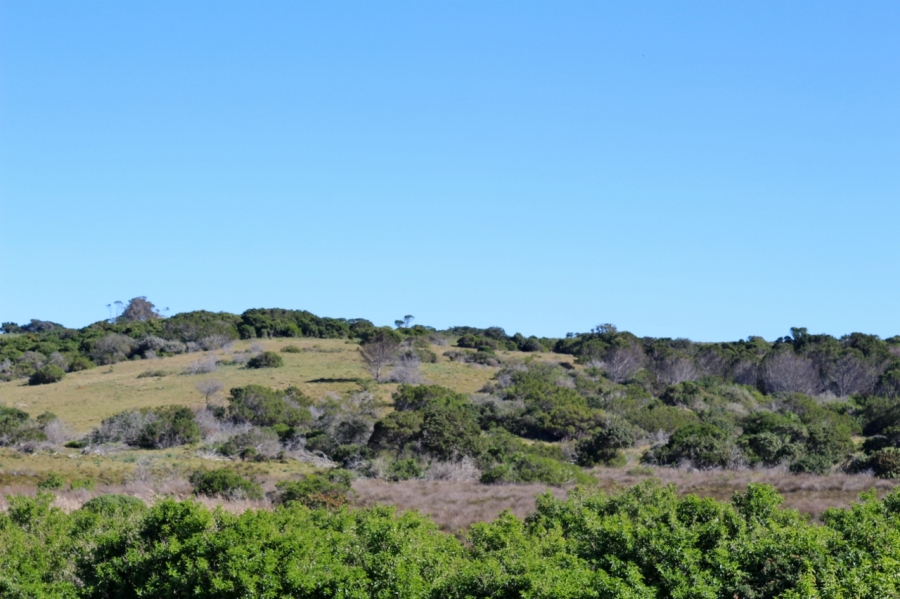 0 Bedroom Property for Sale in Forest Downs Eastern Cape